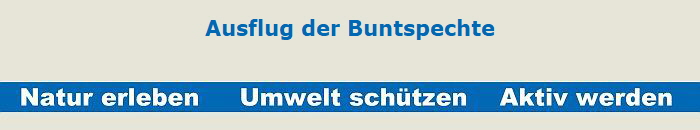 Ausflug der Buntspechte