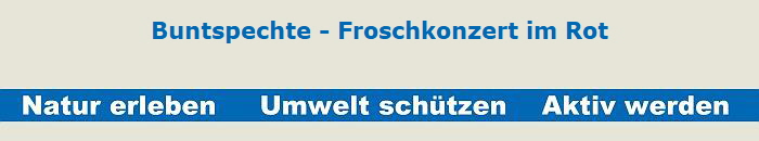 Buntspechte - Froschkonzert im Rot