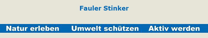 Fauler Stinker