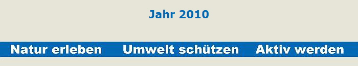 Jahr 2010