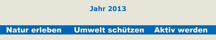 Jahr 2013