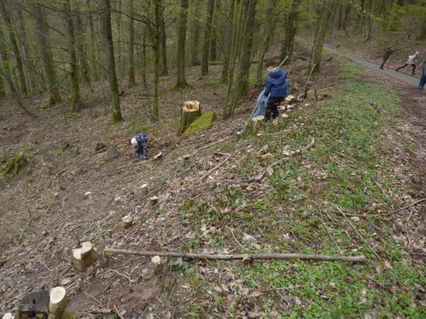 Trashbuster des NABU Cleebronn