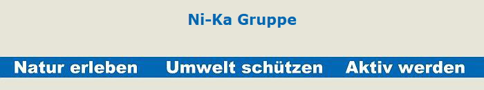 Ni-Ka Gruppe