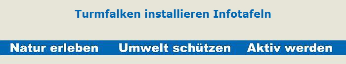 Turmfalken installieren Infotafeln